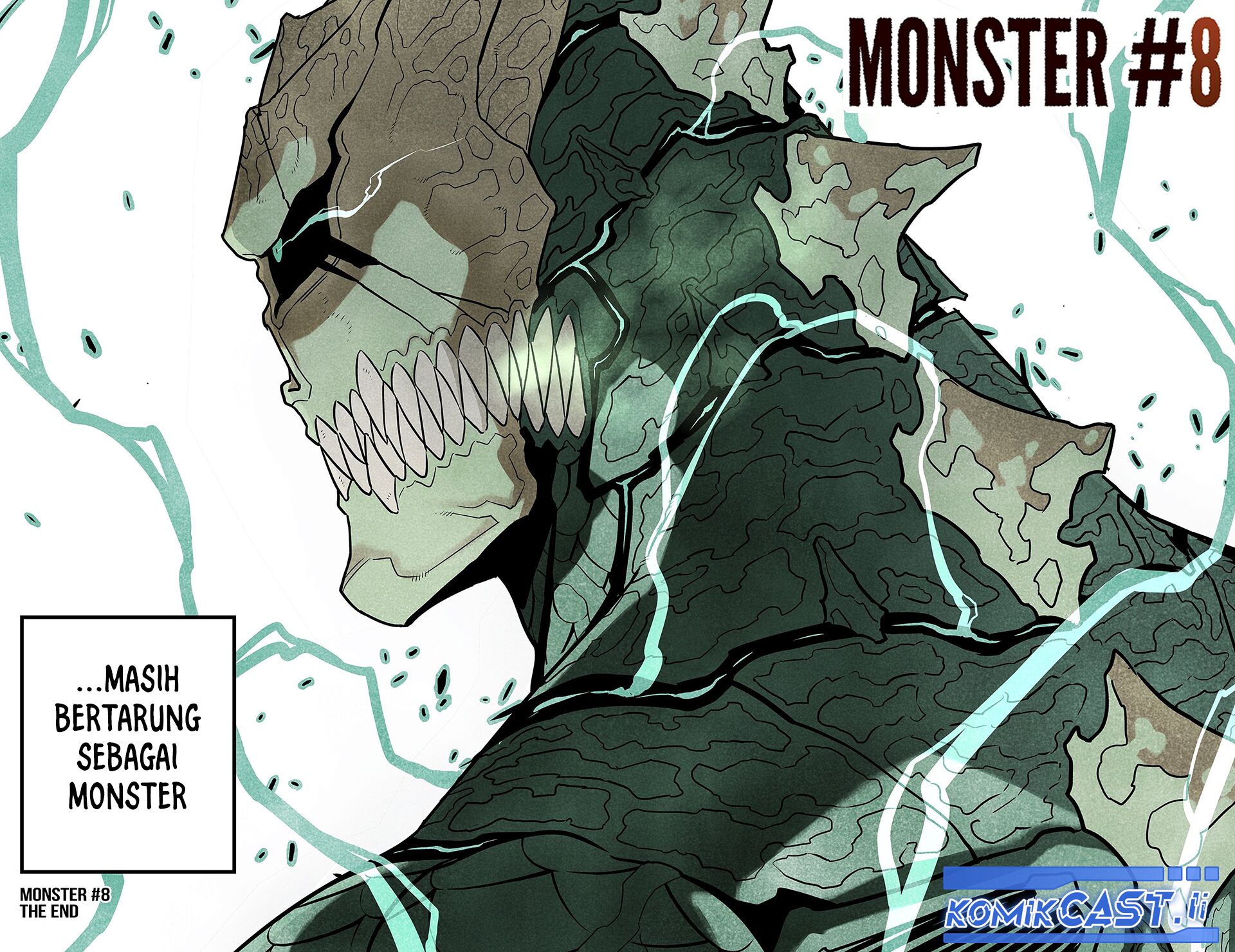 Panel 43