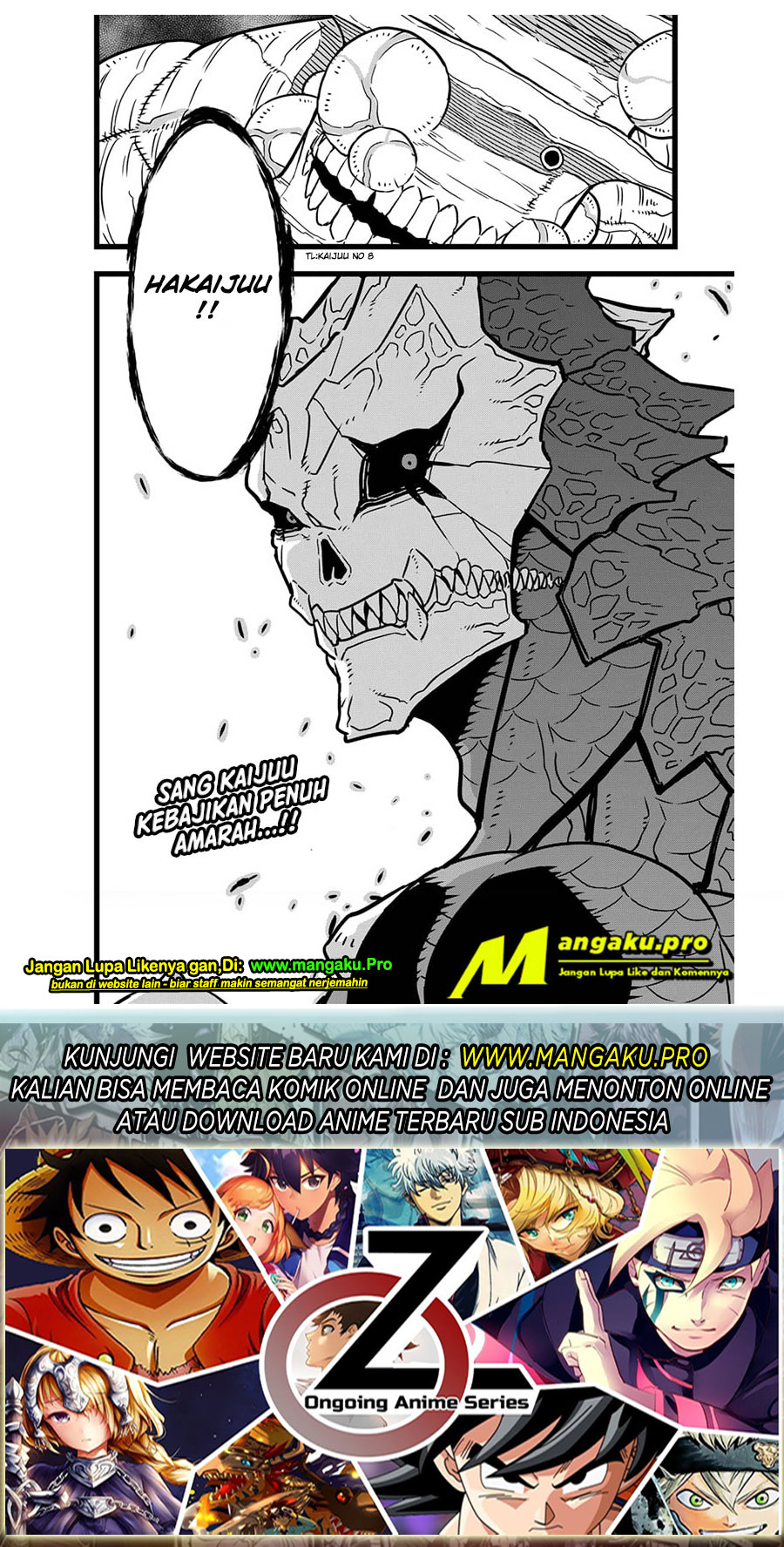 Panel 17