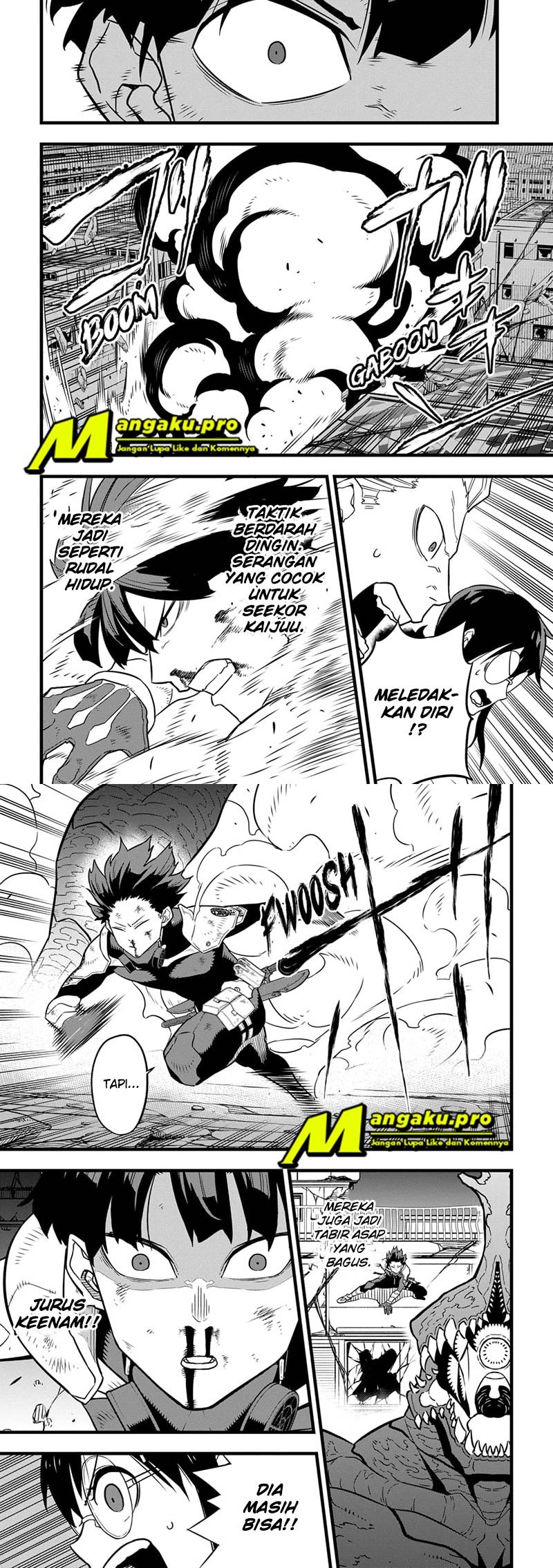 Panel 5