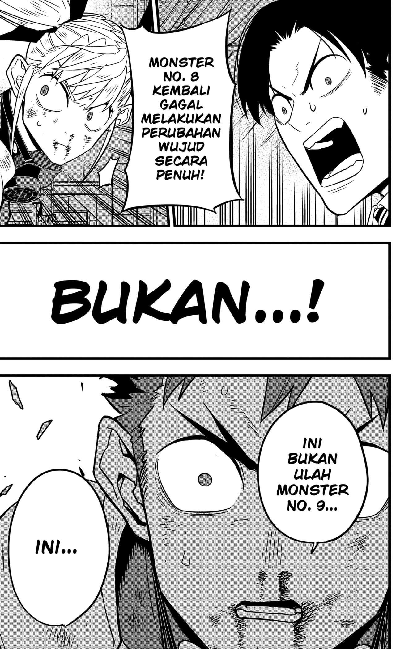 Panel 13