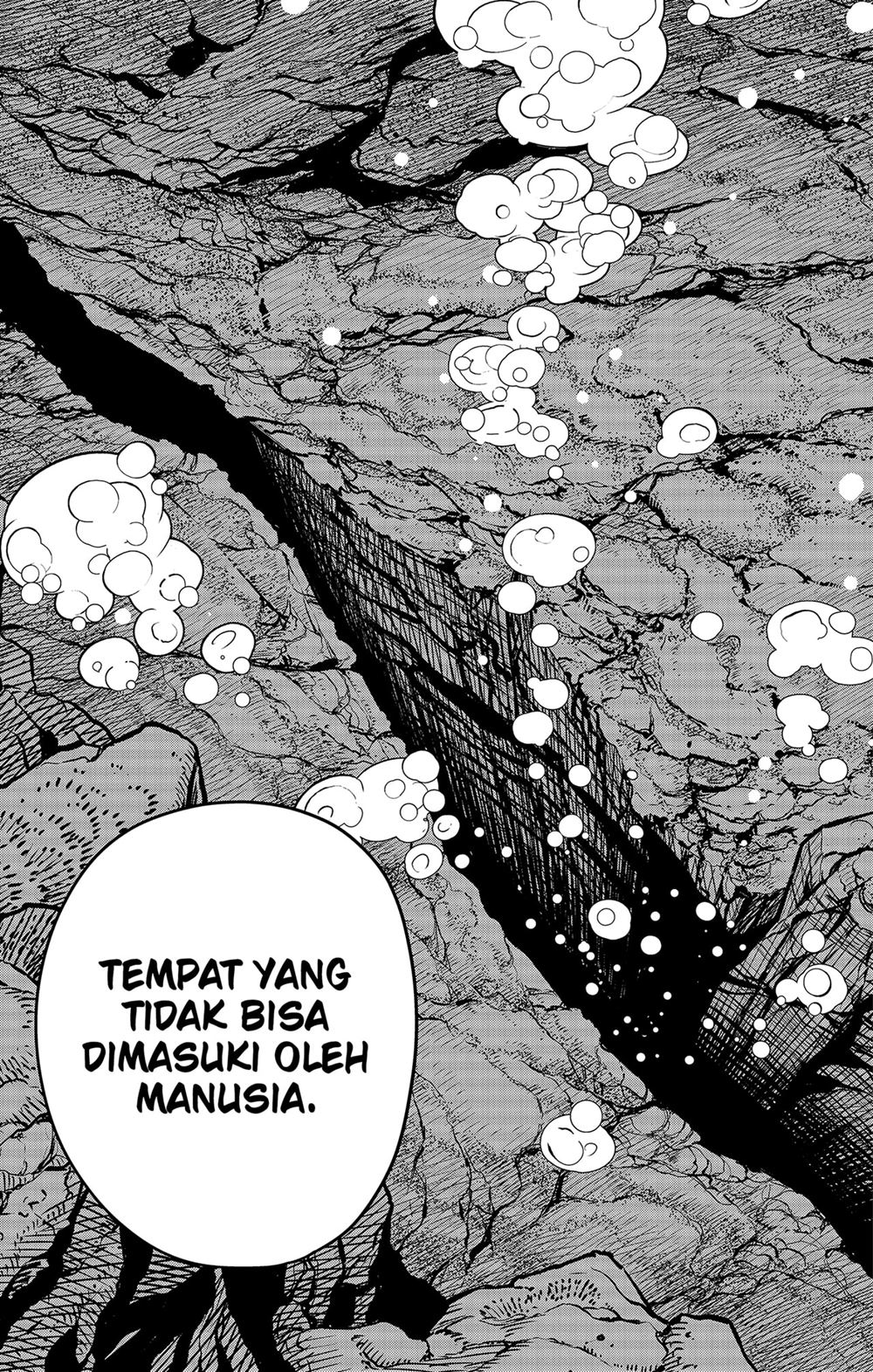 Panel 5