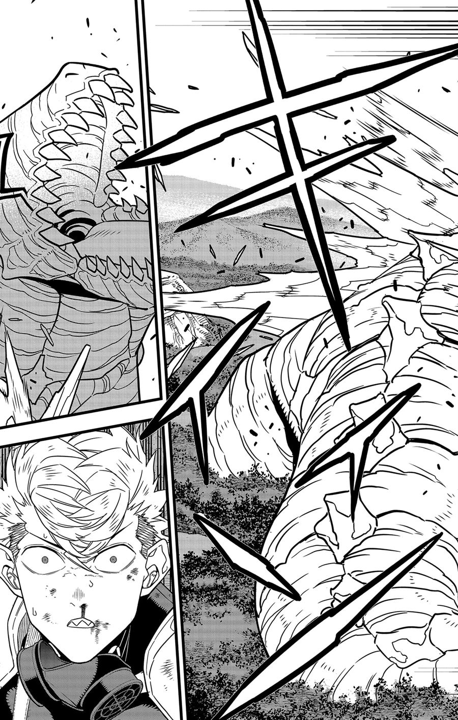 Panel 19