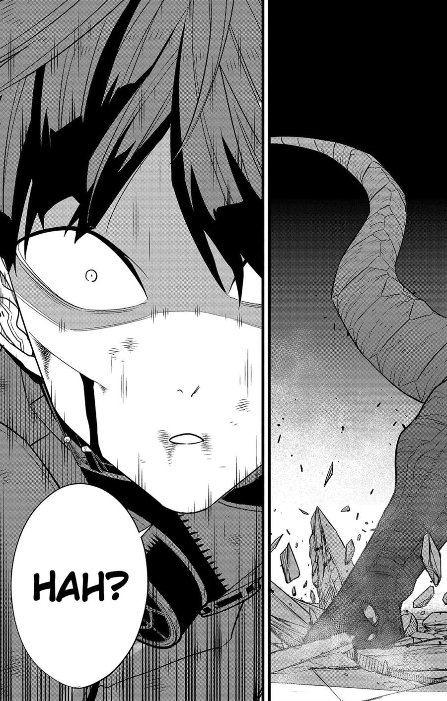 Panel 19