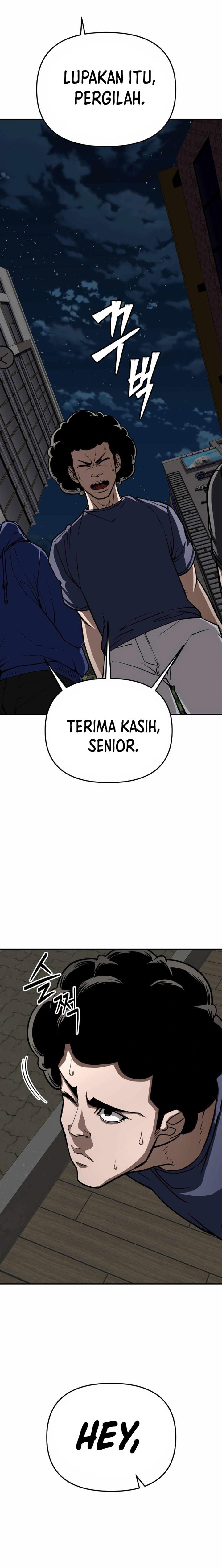 Panel 5