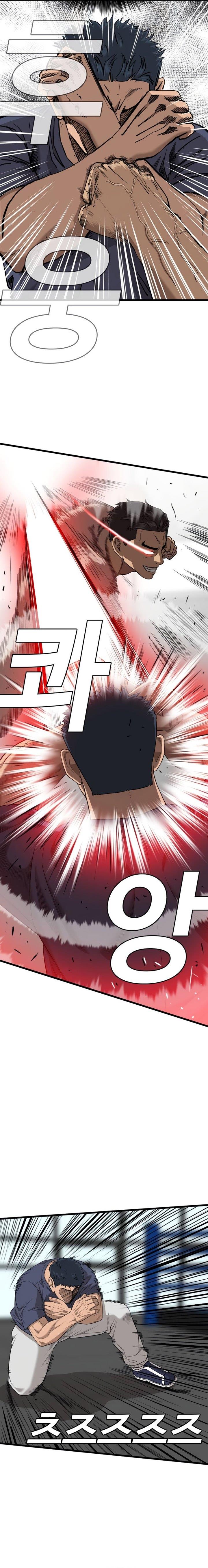 Panel 13