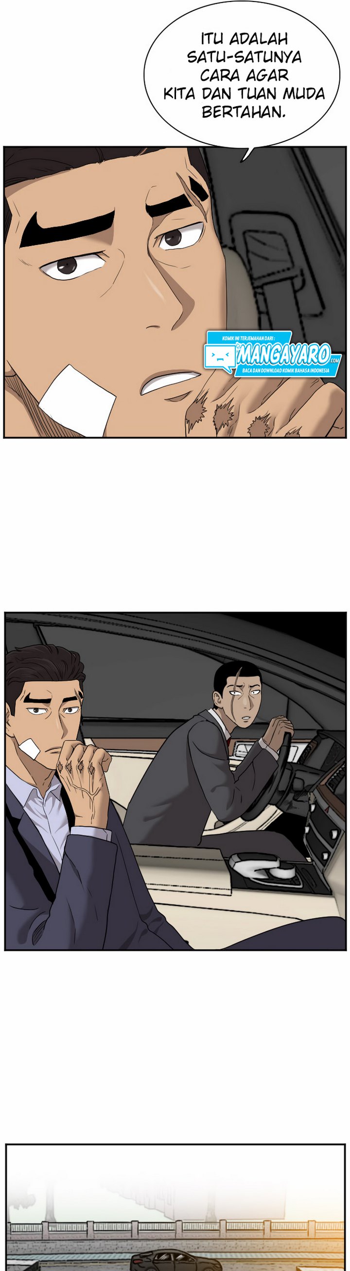 Panel 11