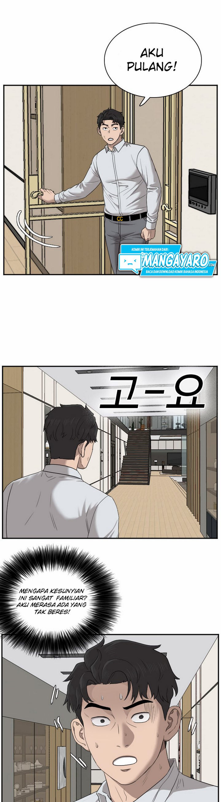 Panel 13