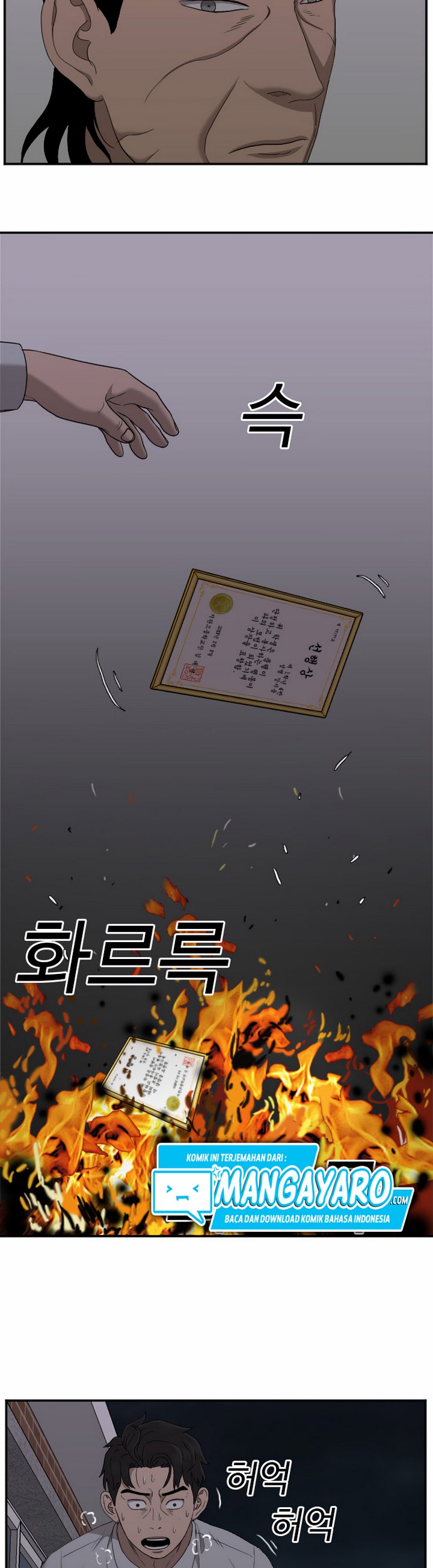 Panel 19