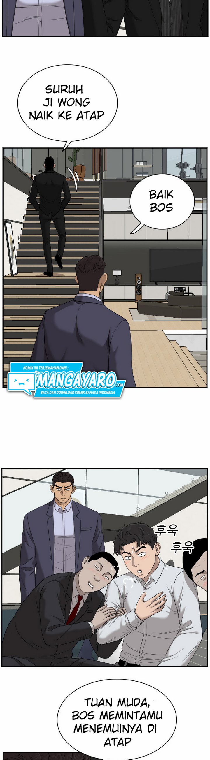 Panel 5