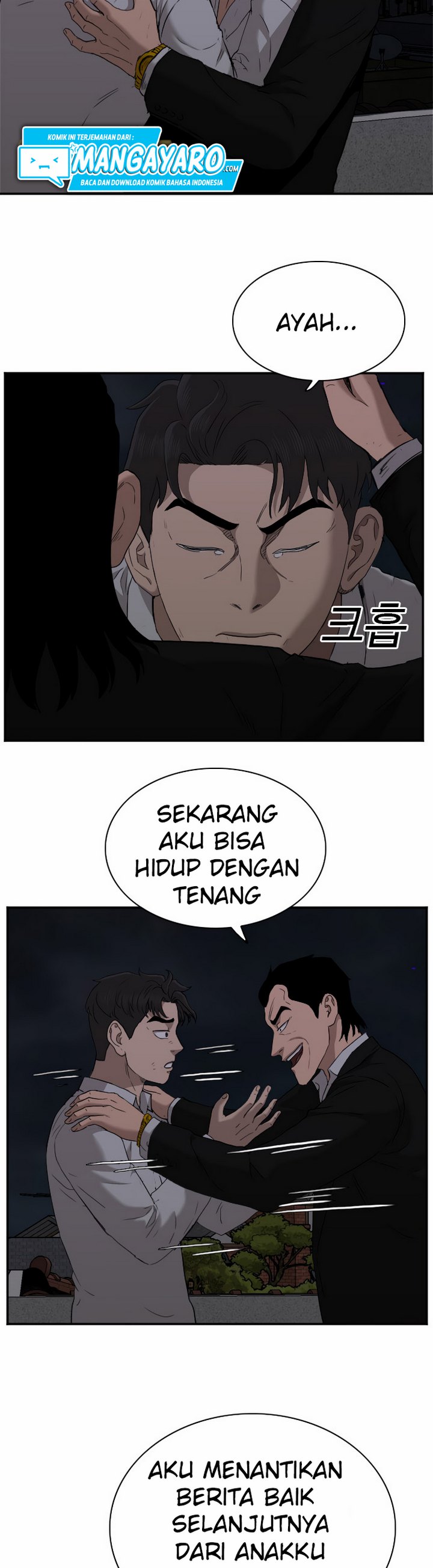 Panel 23