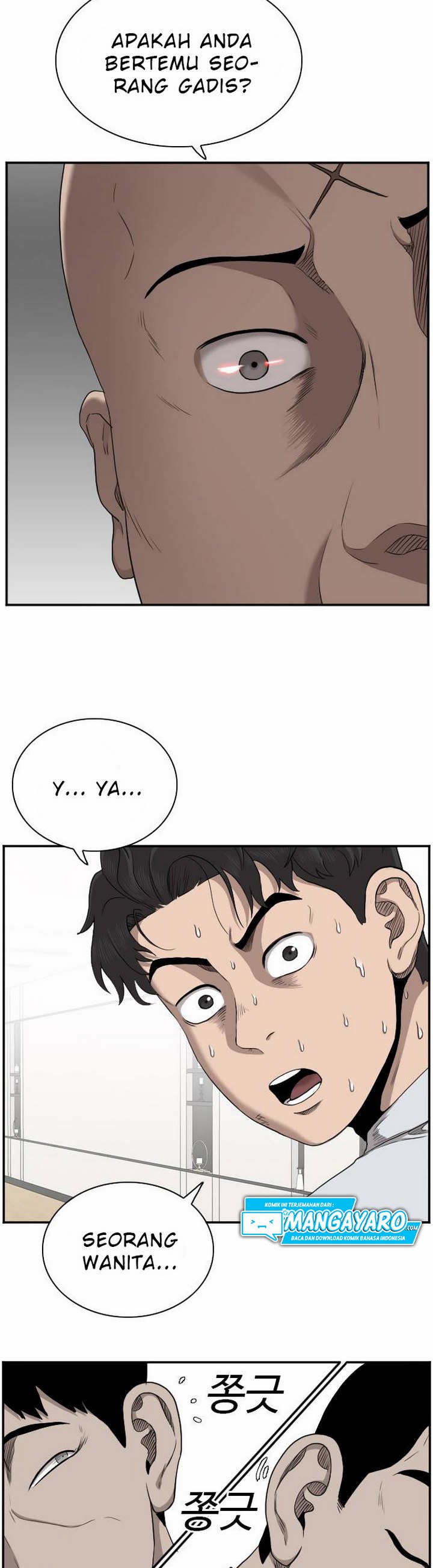 Panel 16