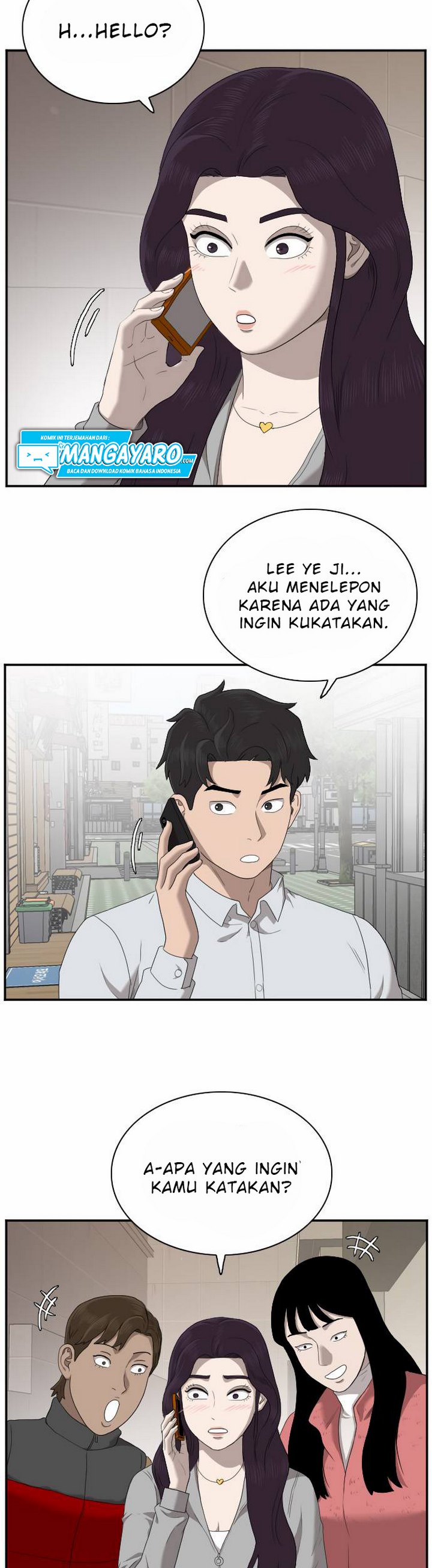 Panel 27