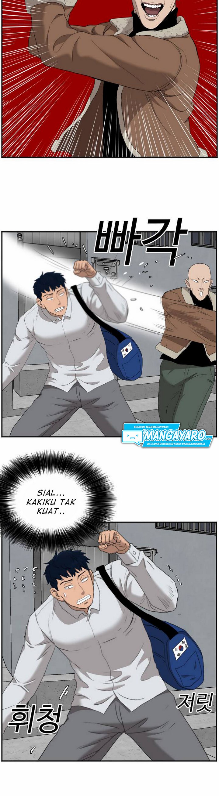 Panel 17