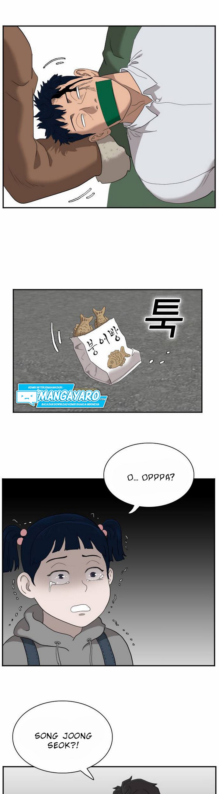 Panel 28