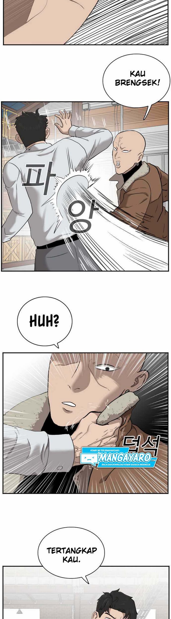 Panel 19