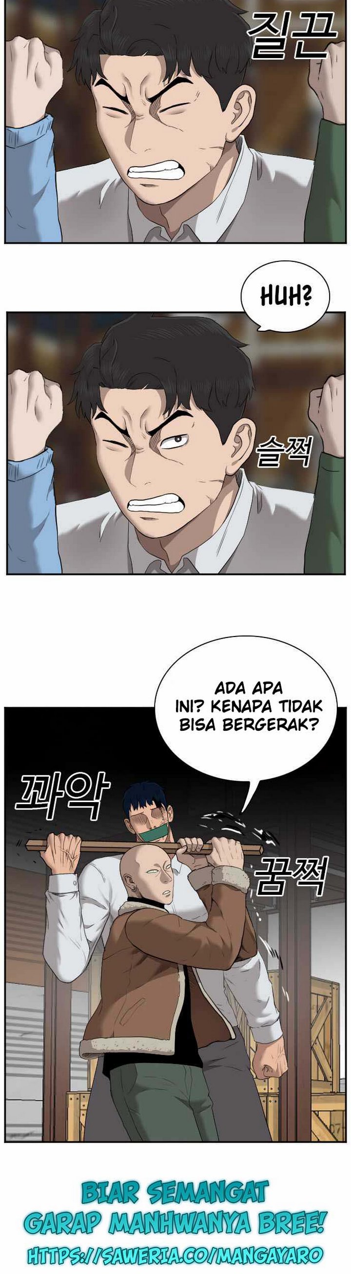 Panel 16