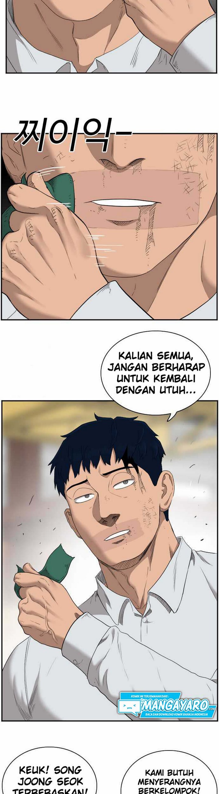 Panel 19
