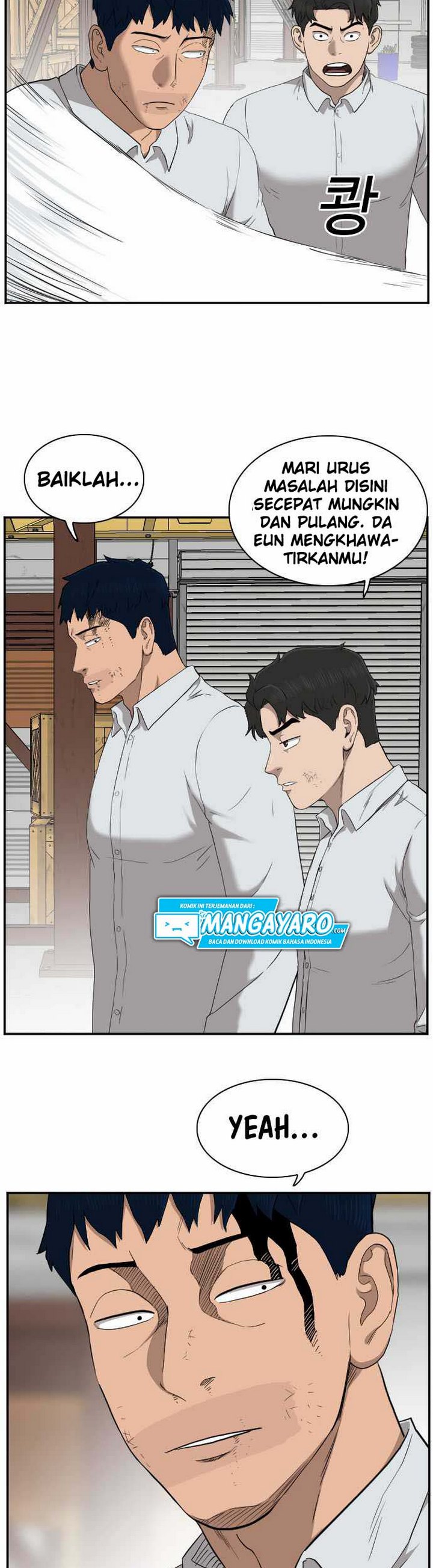 Panel 27