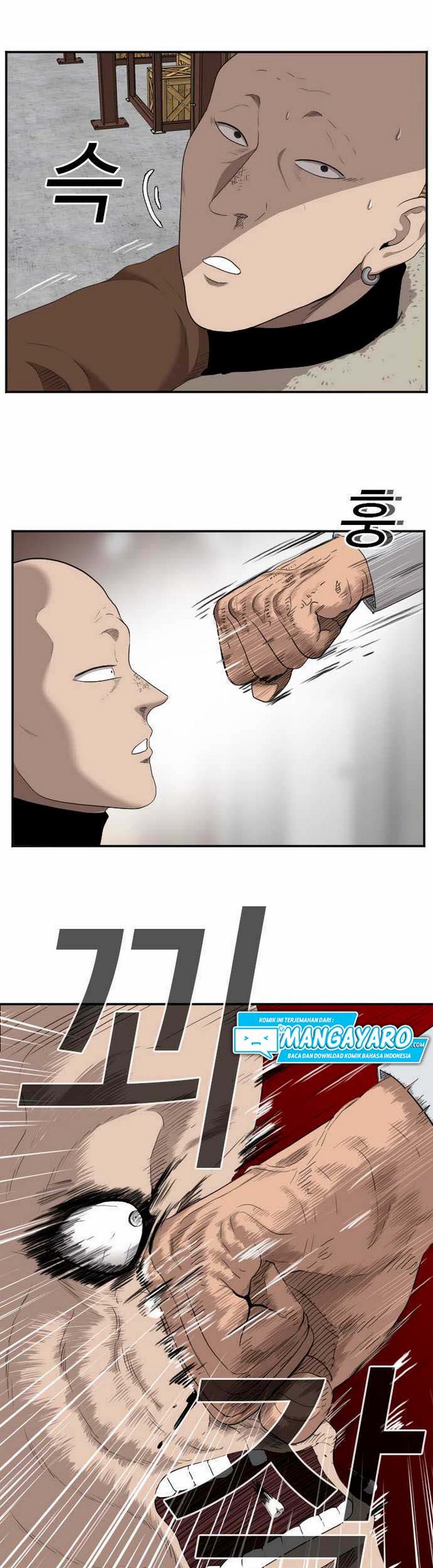 Panel 17