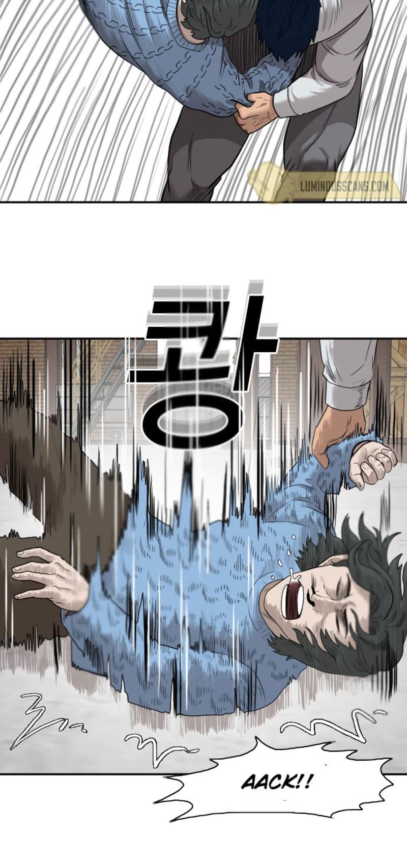 Panel 13
