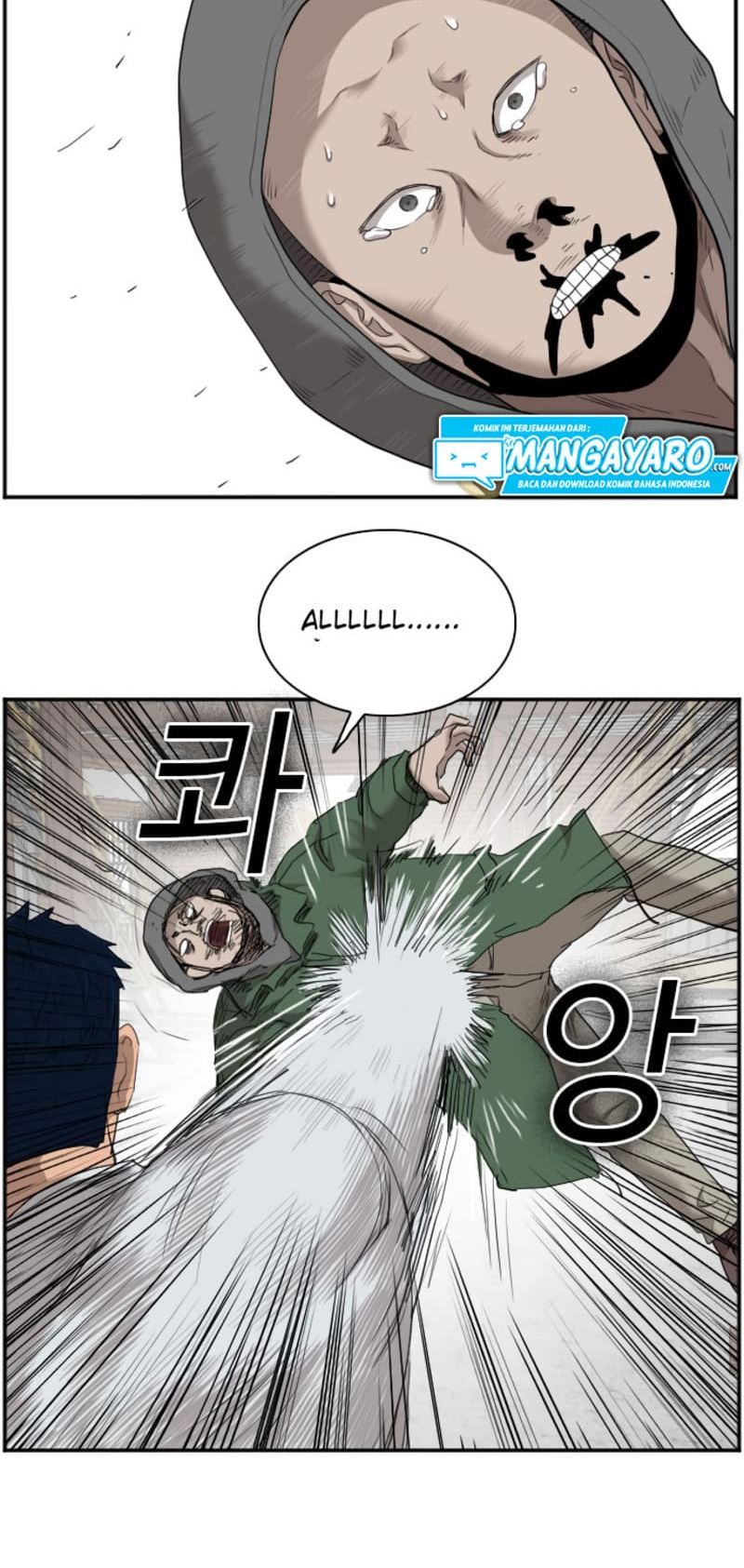 Panel 19