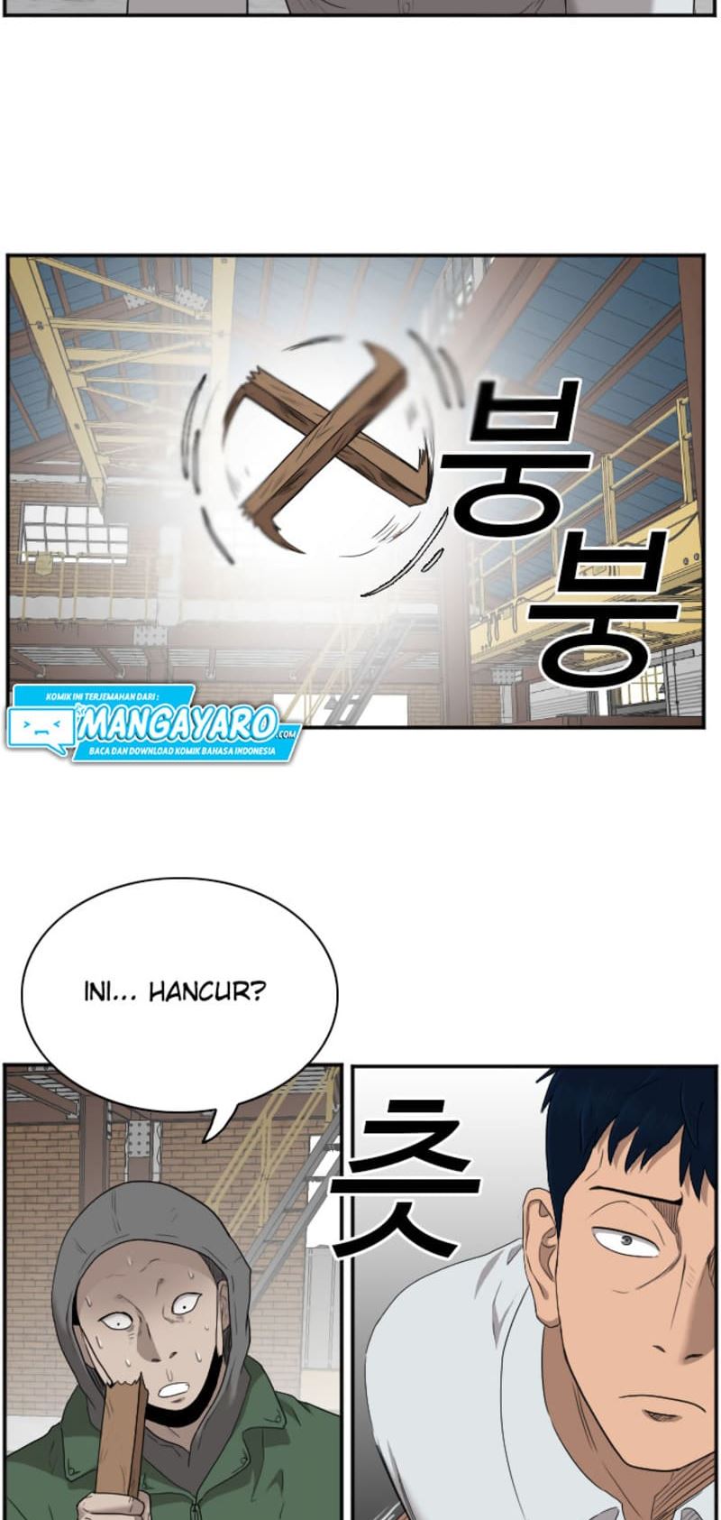 Panel 15