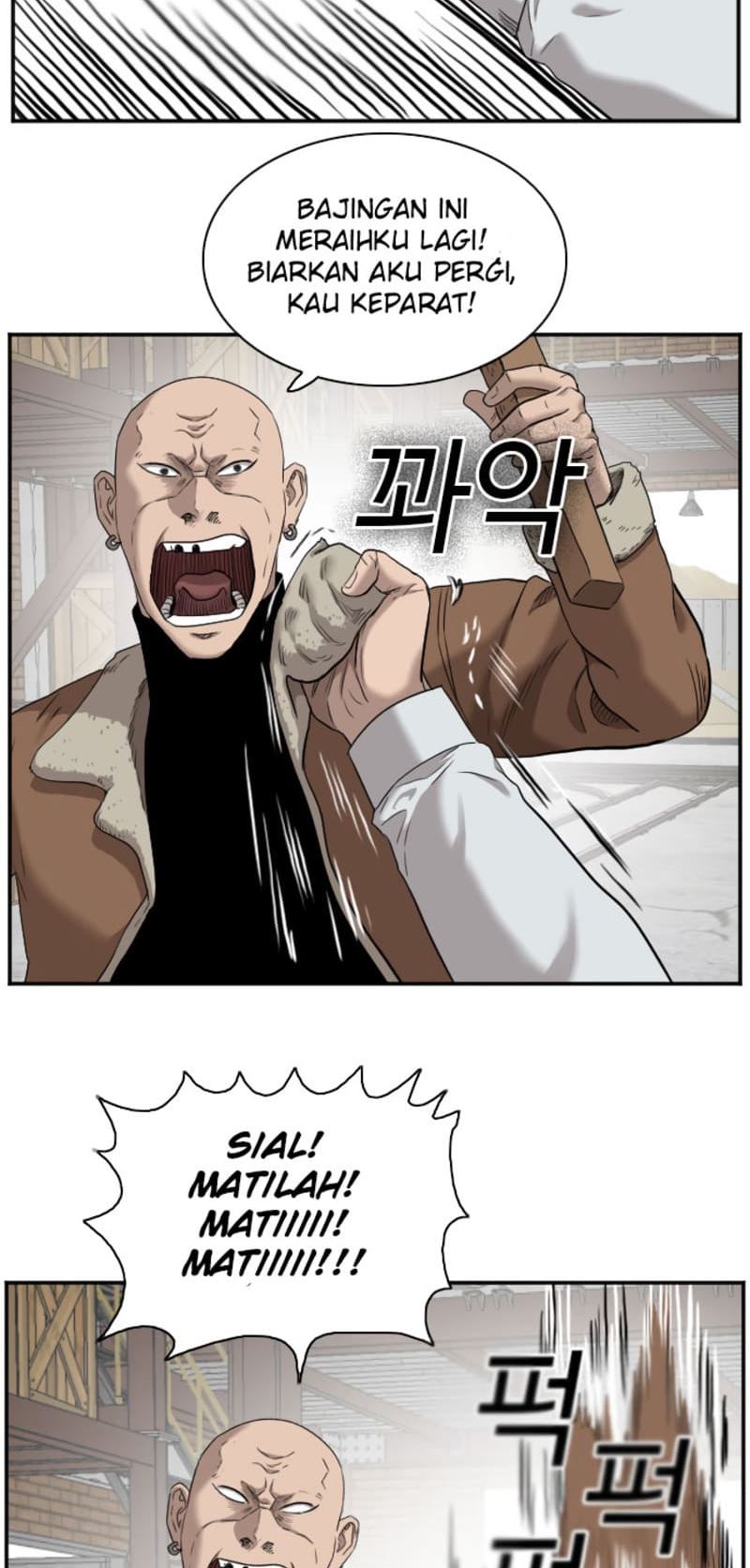 Panel 27
