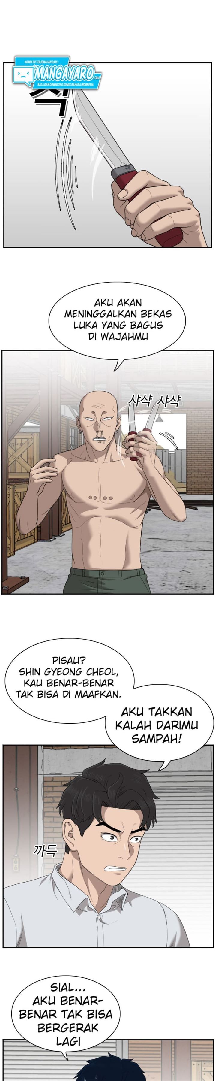 Panel 17