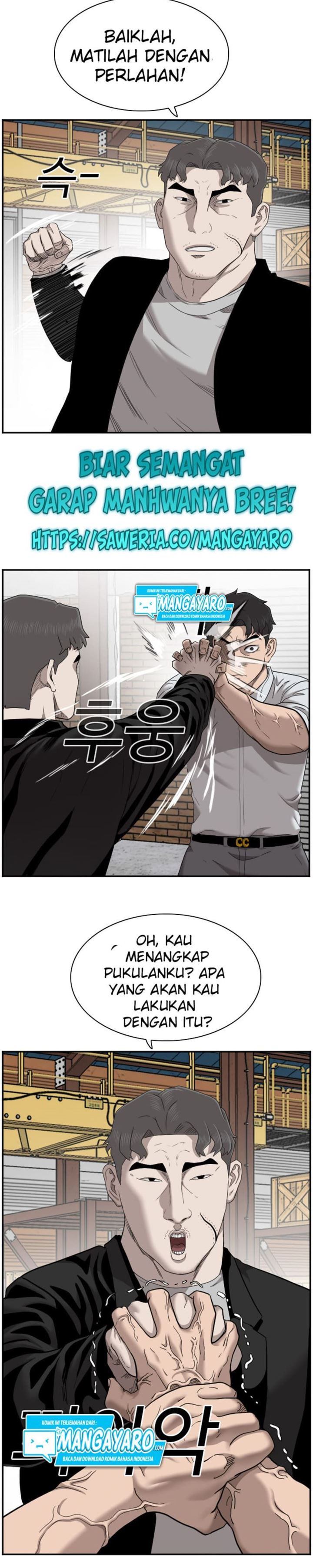 Panel 27