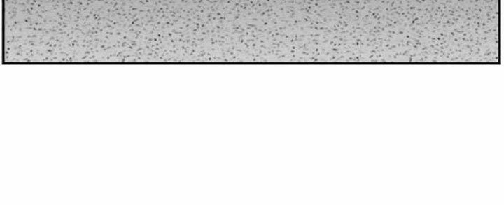 Panel 56