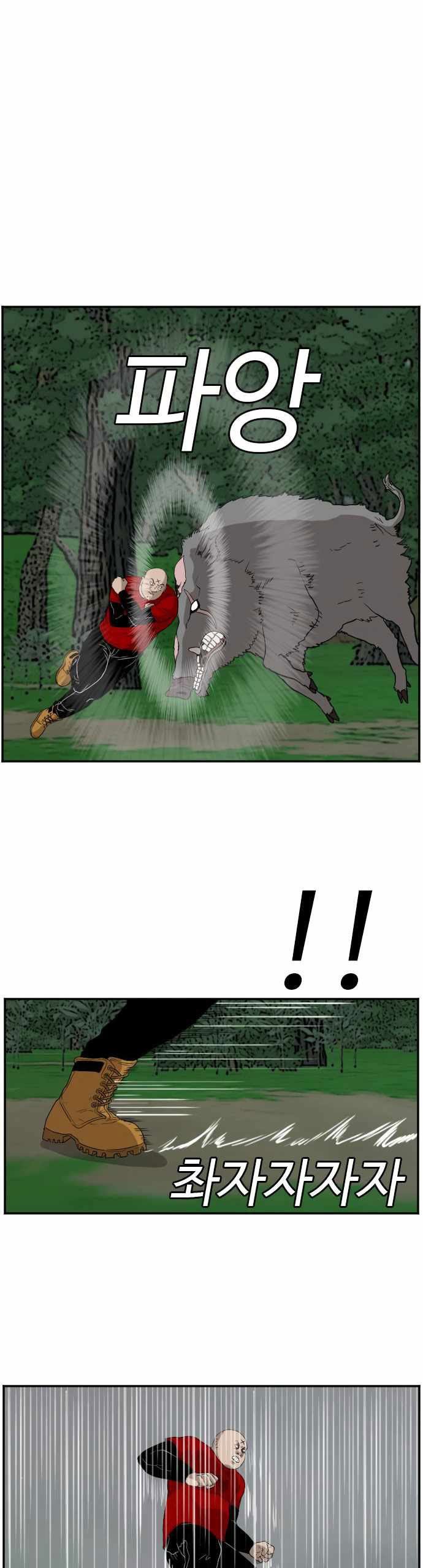 Panel 27