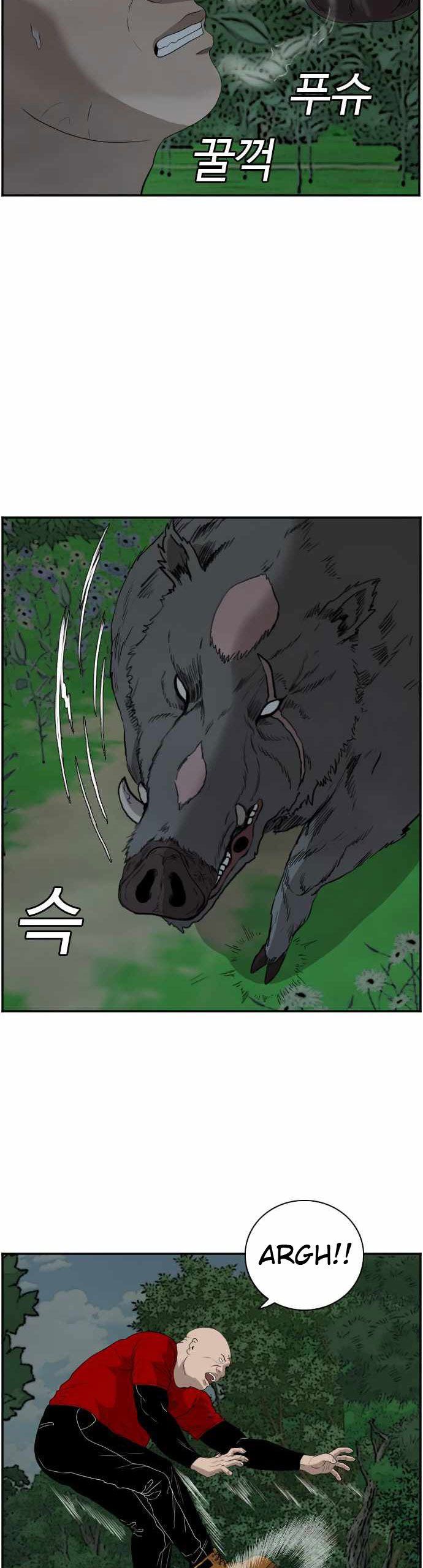 Panel 31