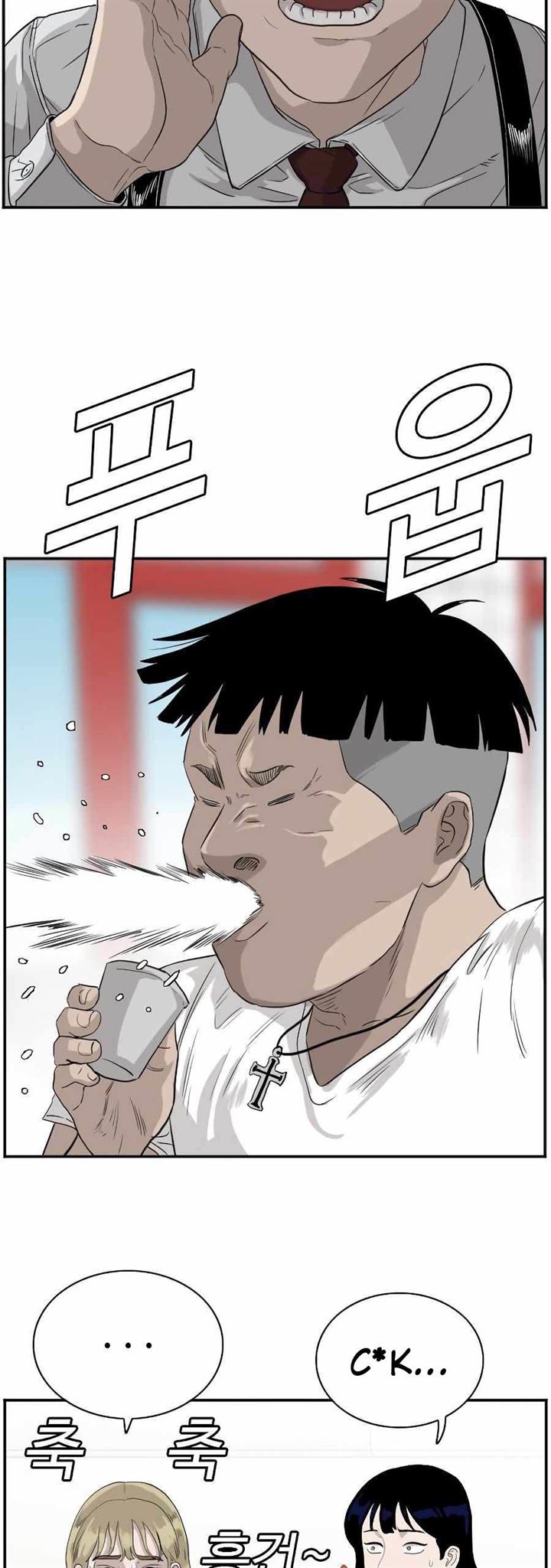 Panel 27