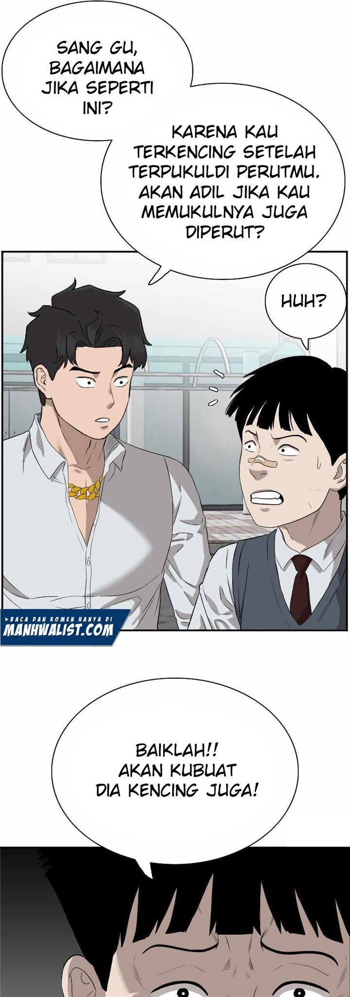 Panel 27
