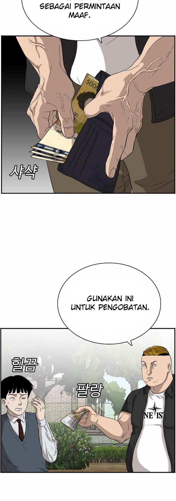 Panel 13