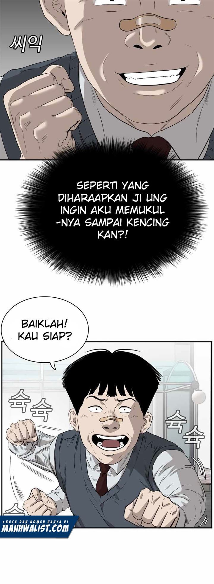 Panel 28