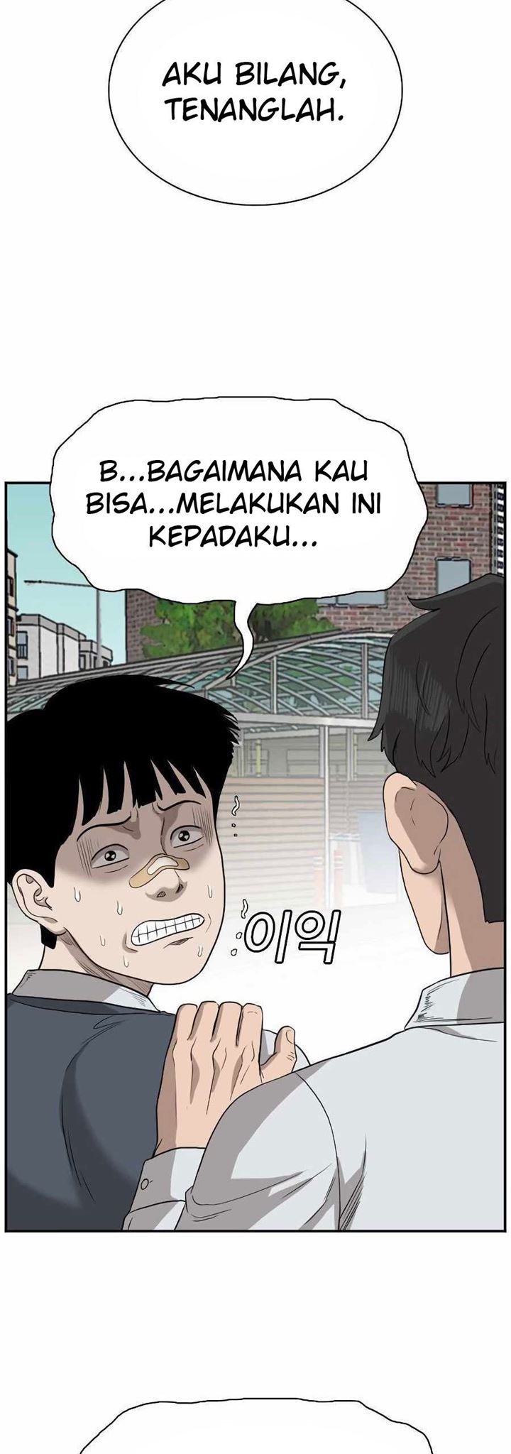 Panel 55