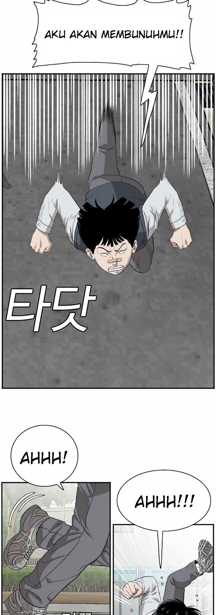 Panel 40