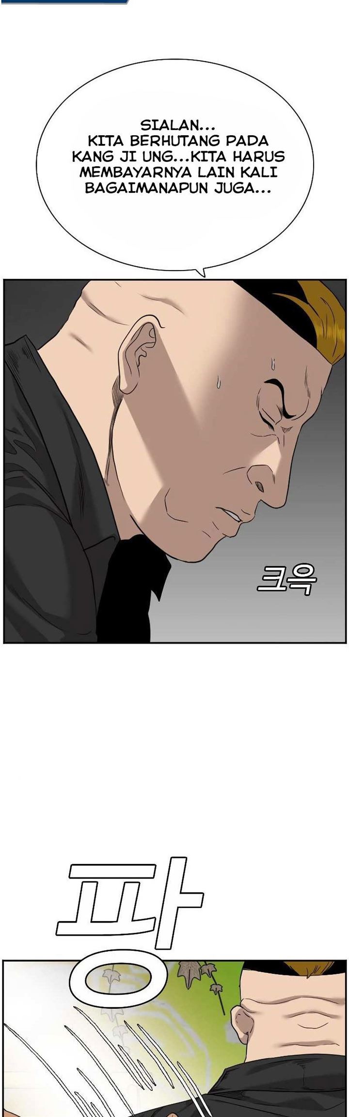 Panel 43