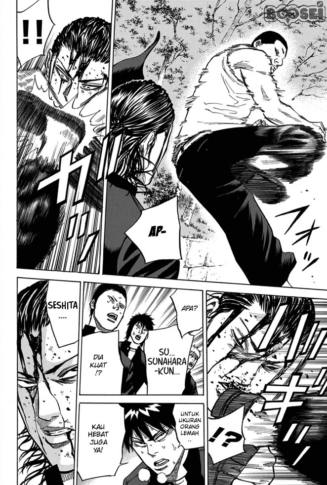 Panel 11