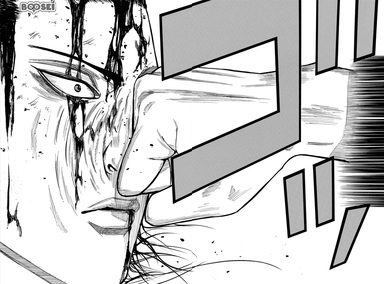 Panel 17