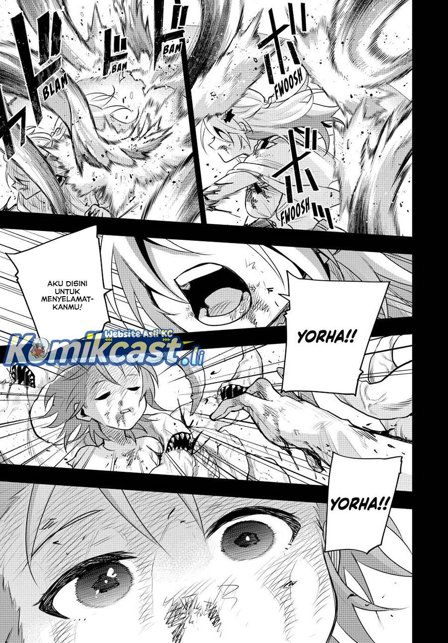 Panel 11