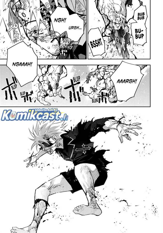Panel 11