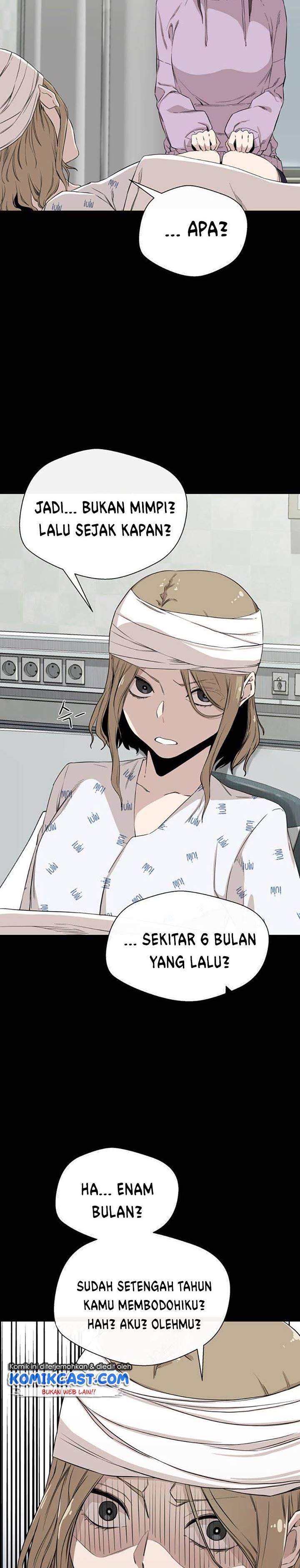 Panel 12