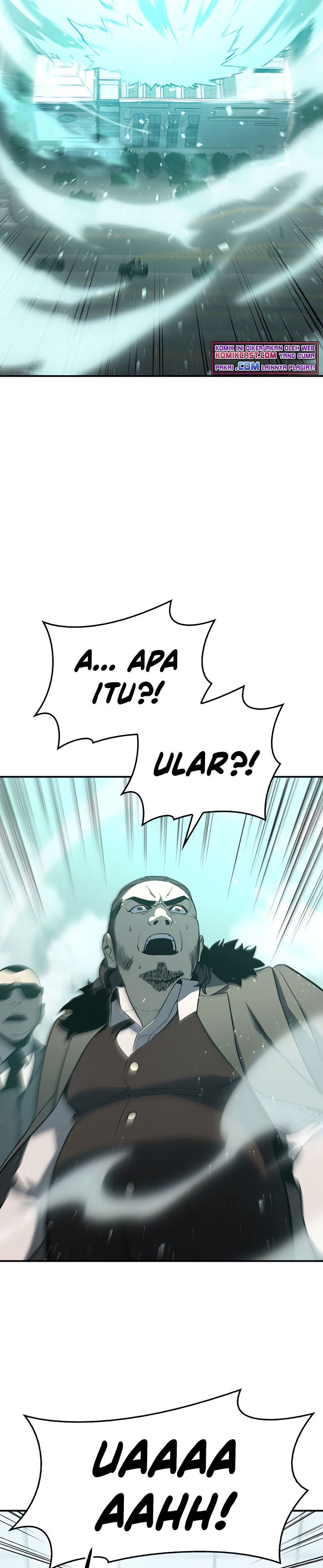 Panel 29
