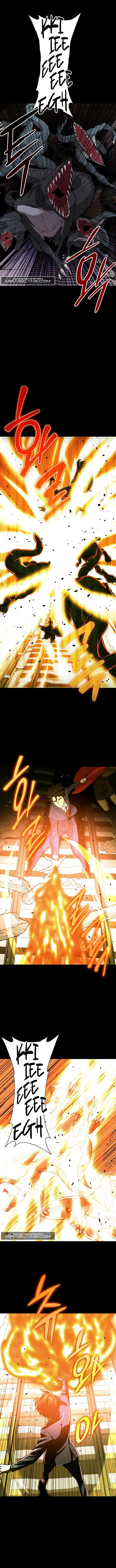 Panel 13