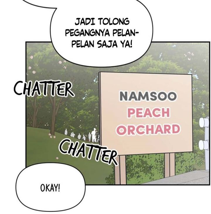 Panel 33