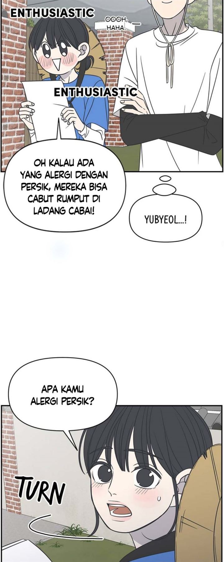 Panel 24
