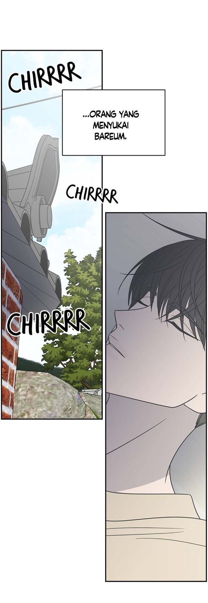 Panel 42
