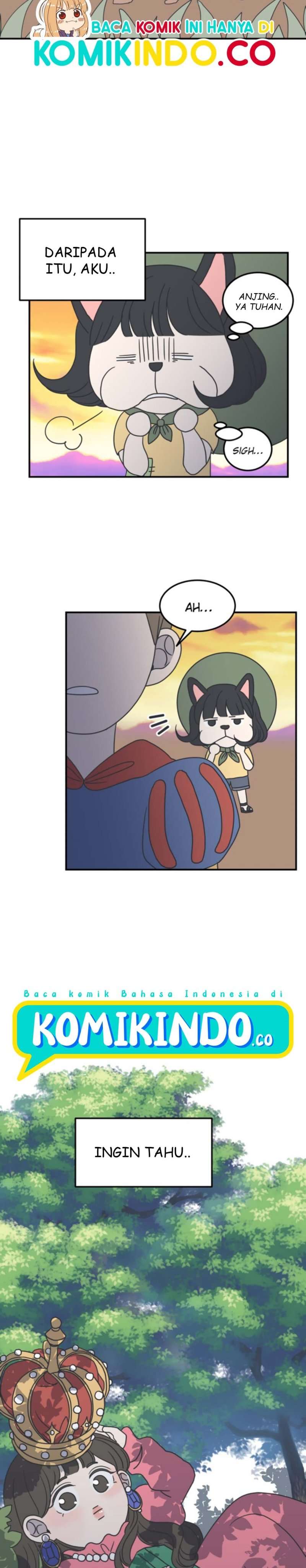 Panel 20